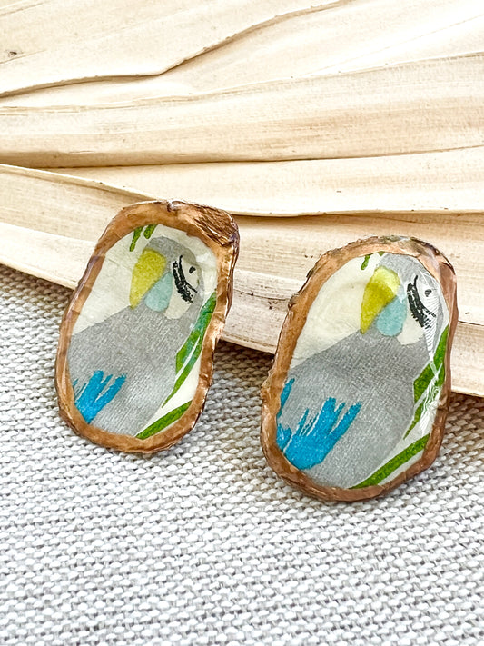 Parrot Oyster Stud Earrings