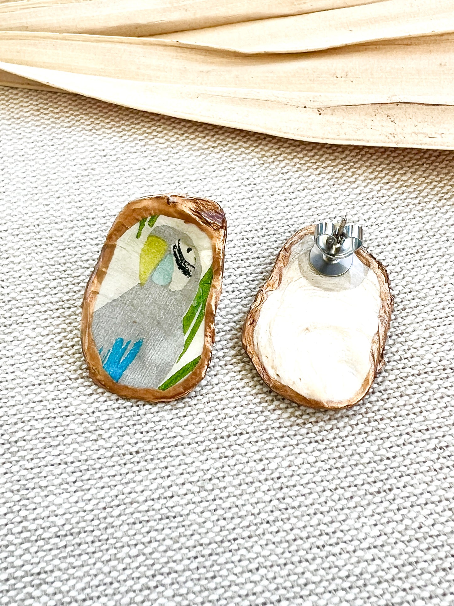 Parrot Oyster Stud Earrings