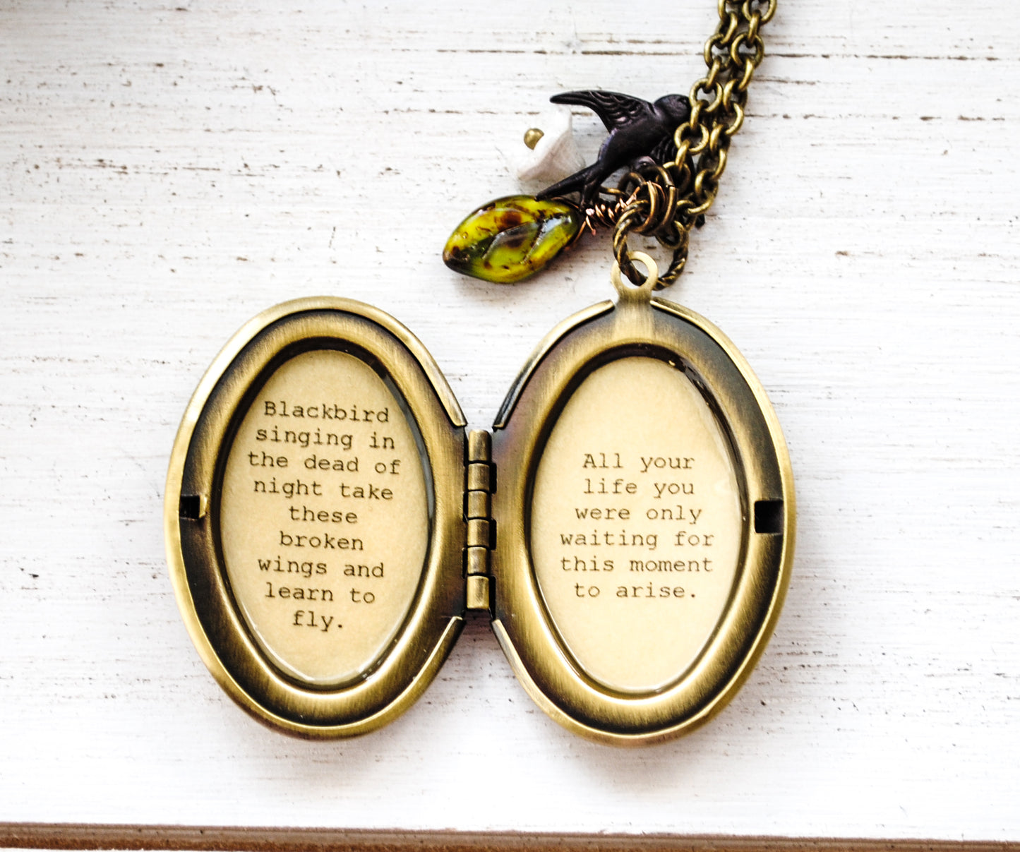 Blackbird singing in the dead of night take these broken wings and learn to fly - Song Quote Locket - Women's Locket